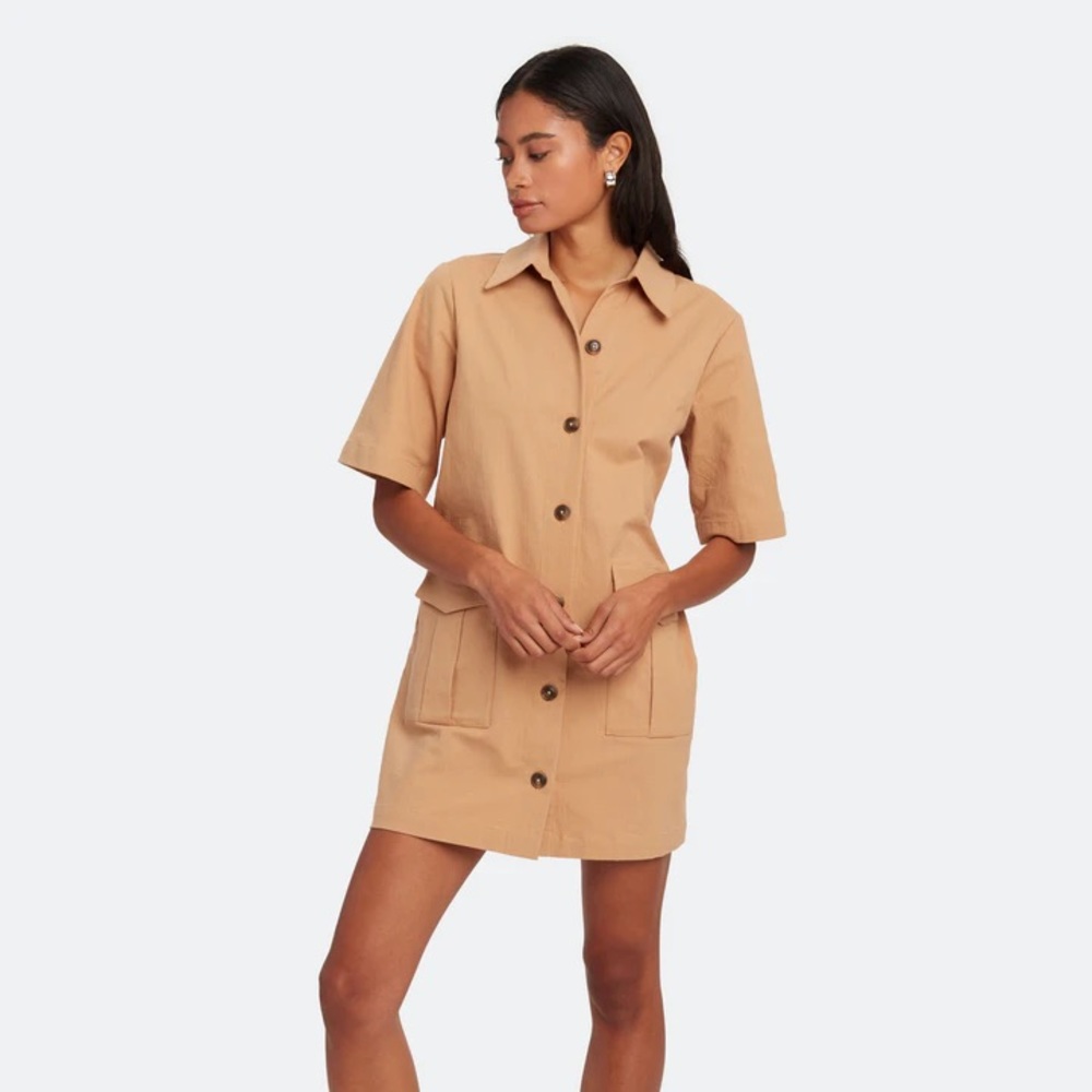 Fateful Mini Dress